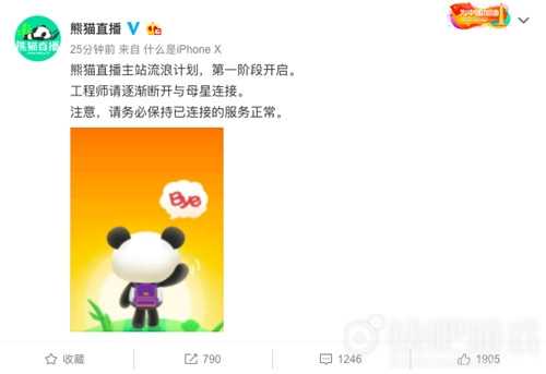《熊猫TV》熊猫关闭服务器_熊猫关闭服务器 女神节当天官博宣布开启流浪计划