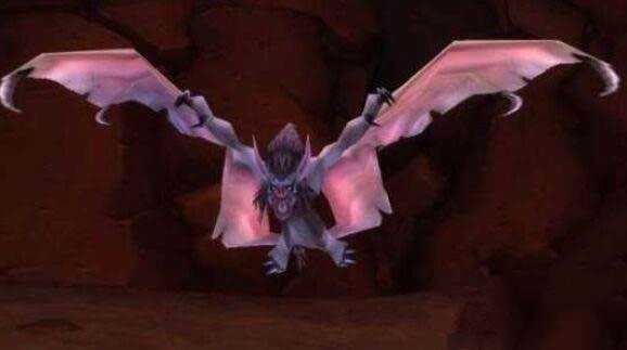 魔兽世界怀旧服蝙蝠宝宝在哪里抓
