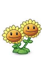 植物大战僵尸 双子向日葵 详细介绍-双子向日葵