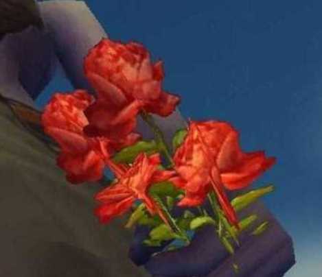 魔兽世界一束红玫瑰怎么获得 wow一束红玫瑰获取方法-一束红玫瑰