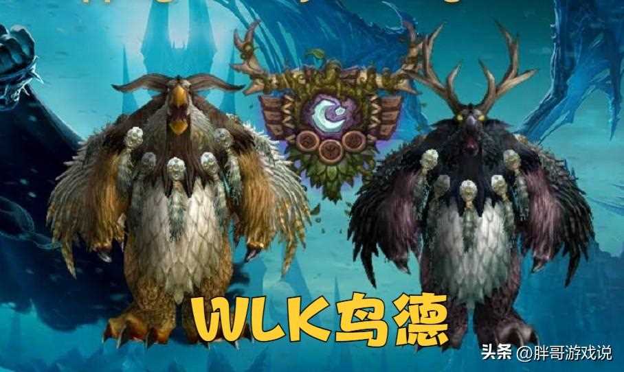 wlk鸟德系统玩法详解-WLK鸟德学什么专业