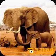 The Elephant大象模拟器