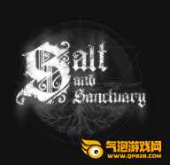 Salt and Sanctuary