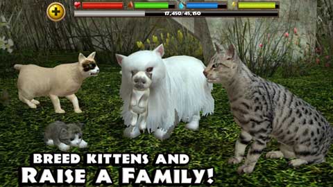 流浪猫模拟器app下载_流浪猫模拟器安卓手机版下载