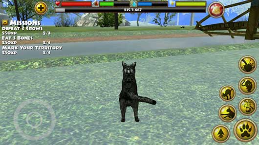 流浪猫模拟器app下载_流浪猫模拟器安卓手机版下载