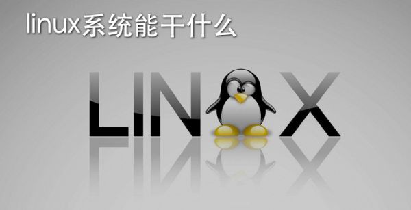 linux系统能干什么