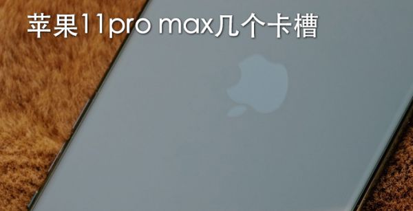 苹果11pro max几个卡槽