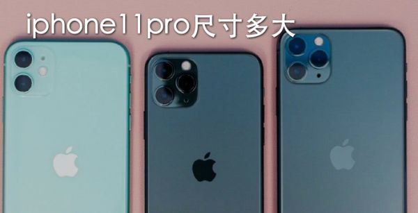 iphone11pro尺寸多大